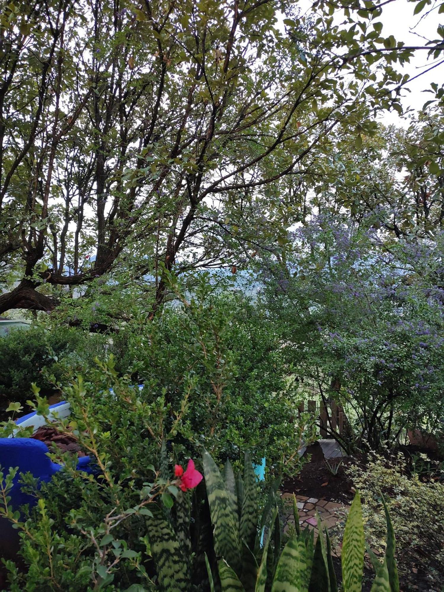 El Encinal De Las Flores บาเญเดบราโว ภายนอก รูปภาพ